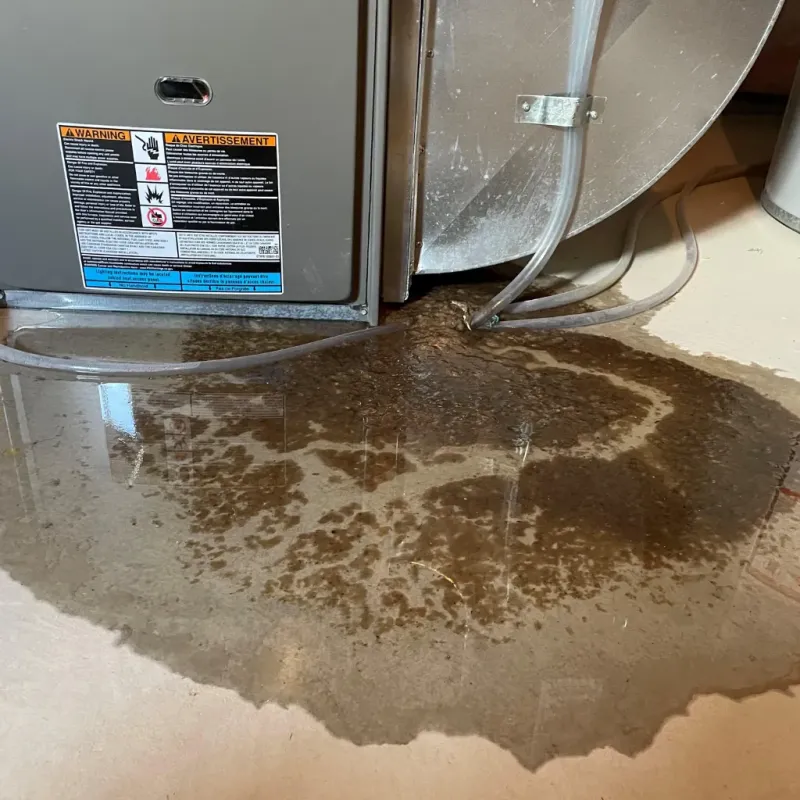 Appliance Leak Cleanup in Shoals, IN